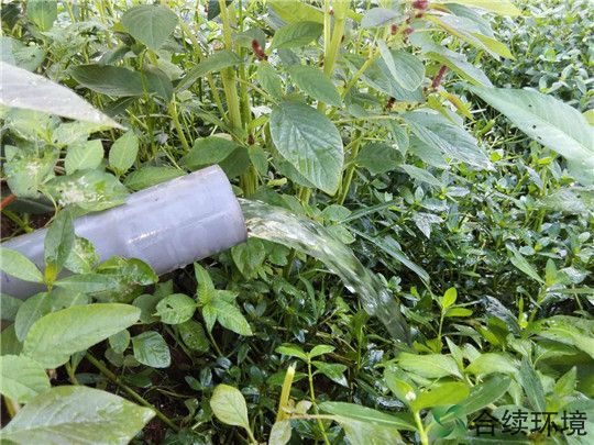 合續環境助力大理雙廊污水治理出水調試視頻