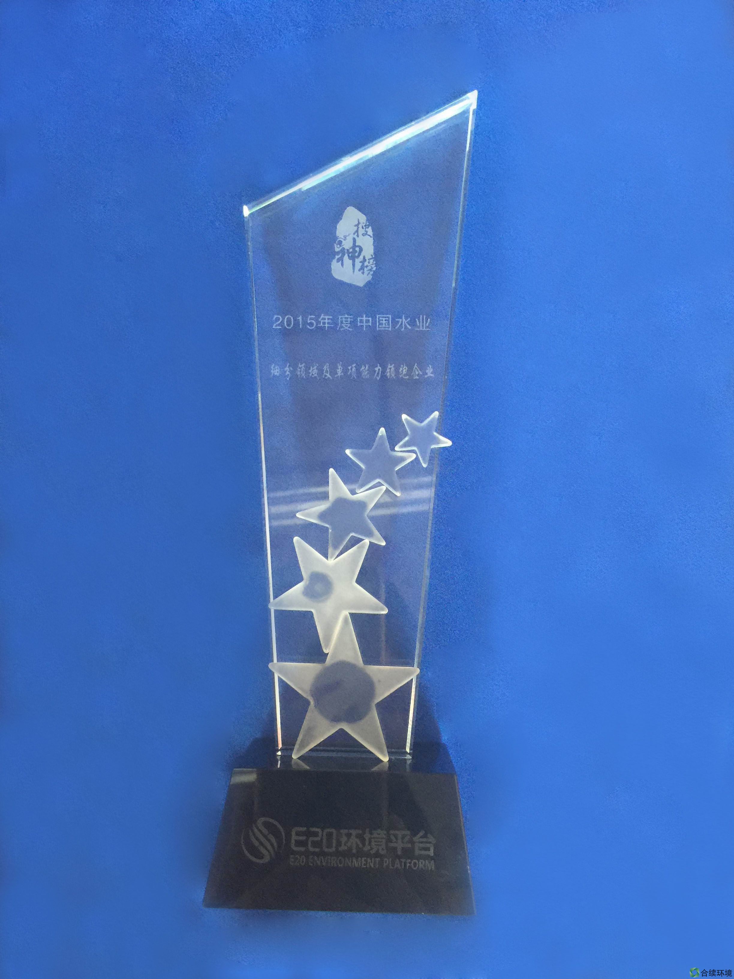 2015年度中國(guó)水業(yè)細(xì)分領(lǐng)域及單項(xiàng)能力領(lǐng)跑企業(yè)